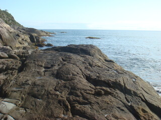 rocky coast of the sea