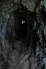 Tunnel going to Tunnel Beach, OR