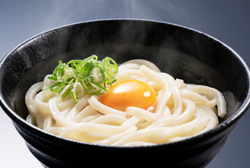 Japanese Ingredients.Warm Udon Noodles