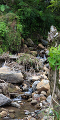 Arroyo de agua
