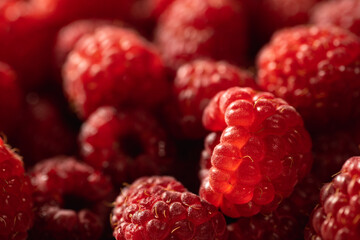Fresh red Raspberry fruits as organic and vitamin food background, close up.
