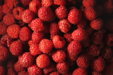 Fresh and sweet organic raspberries background, top view.