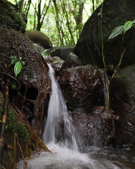 Arroyo de agua 