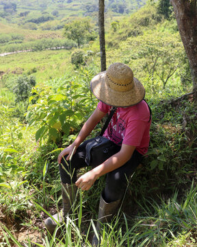 Ni&ntilde;o campesino