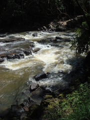 waterfall in the forest