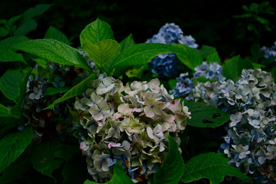 3 3 Best 終わり Images Stock Photos Vectors Adobe Stock