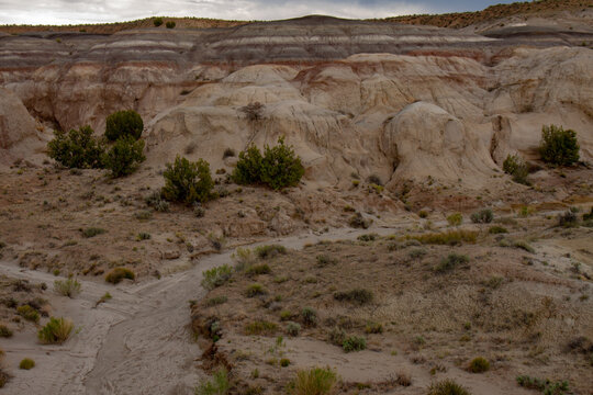 Dry Riverbed Trail Goes Through Red Hills In Arid Desert Landscape In The Bisti Badlands, De-Na-Zin Wilderness In San Juan County, New Mexico, USA