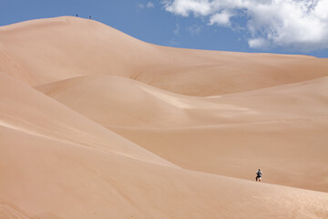 Fototapeta na wymiar Male hiker stands on giant sand dune looking towards the blue sky in the Great Sand Dunes National Park in Alamosa, Colorado