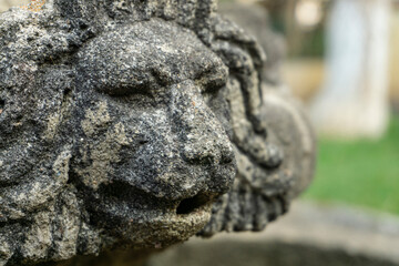 Fototapeta premium old stone lion