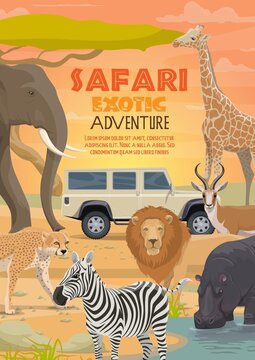 African Safari, Vector Hunting Sport And Animals. Lion, Elephant And Antelope, Hippo, Giraffe And Zebra, Cheetah Or Leopard Animals And Hunter Car, African Safari Tour And Savannah Adventure Themes