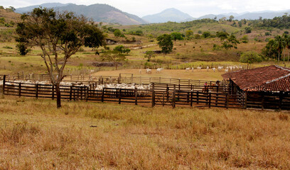 pau brasil, bahia / brazil - april 17, 2012: cattle corral is seen on a farm in the rural area of...