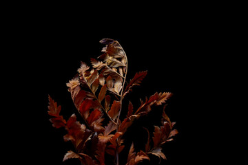 Vintage Dried brown autumn fern leaves