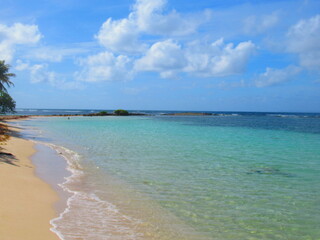 Fototapeta na wymiar A côté de la plage de sable blanc la paradisiaque mer turquoise sous le ciel bleu 