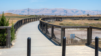 Bridge in Wetlands