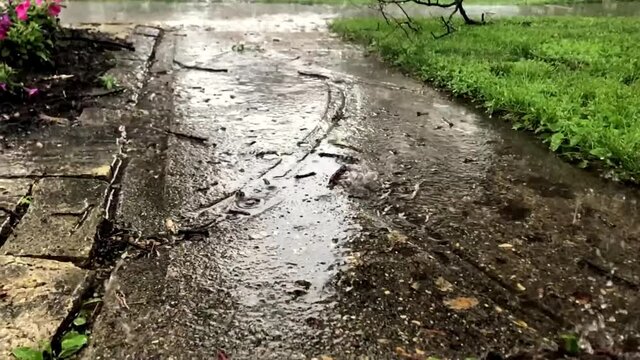 Super Slow Motion Rain Falling On Garden Path
