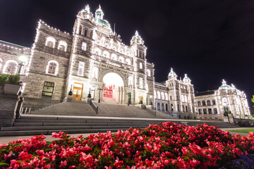 Obraz premium super bright building at night in summer with red flowers in the foreground