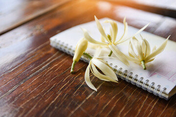 White champaka flower or Michelia white sandalwood and notebook paper on rustic wooden jade orchid...