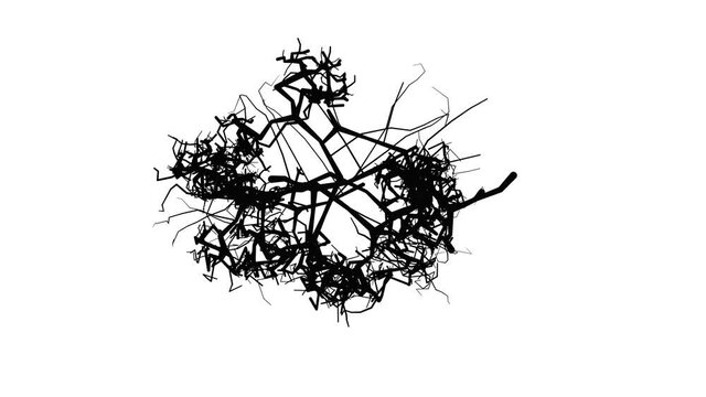 Solid black cracks transforming on white background. 3d animation rendering. Pulsing , growing movement . 