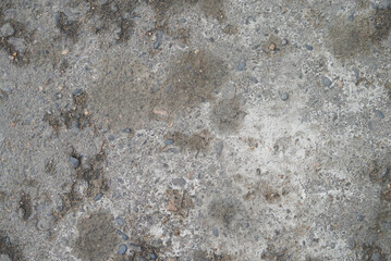 Gray asphalt texture with cracks. Background texture