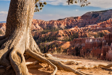 Bryce Canyon National Park, located in southwestern Utah. The park features a collection of giant...