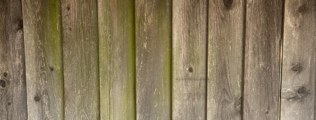 Old Wooden Fence with Mild Green Growth Textured Background