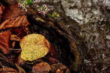 minneapolis minnehaha falls
