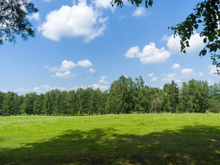 Green field and forest. Clouds in the blue sky. Summer sunny day