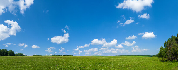 Obraz na płótnie Canvas Panorama green meadows and fields. White clouds in the blue sky. Summer sunny day