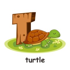Obraz premium T for Turtle Animals Wooden Alphabet