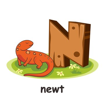 N for Newt Animals Wooden Alphabet