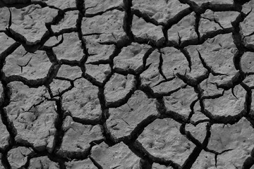 Piece of land with wide cracks due to summer heat and drought 