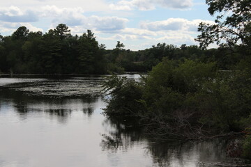 Fototapeta na wymiar lake in the forest