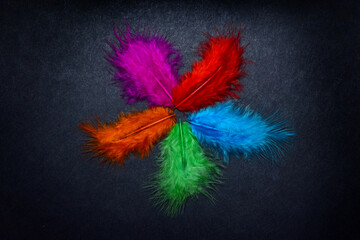 colorful feathers on black background