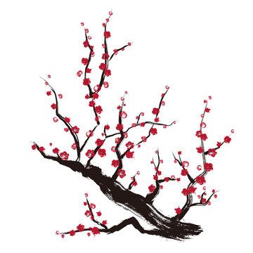 7 542 Best 梅の木 Images Stock Photos Vectors Adobe Stock