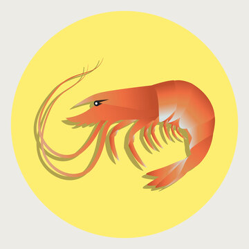 recommend clip art: Shrimp vector Illustration with yellow background