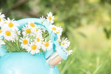 Beautiful summer still life. Blue teapot with a bouquet of white daisies in green grass