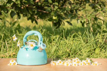 Beautiful summer still life. Blue teapot with a bouquet of white daisies on the table in the green grass