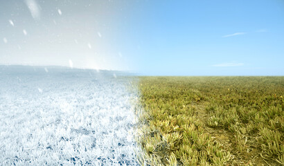 Meadow field with winter and summer climate