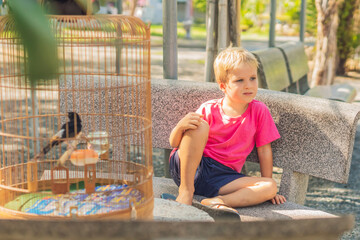 Serious sad concentrated boy doesn't want to look on songbird in cage. Birds should be free and...