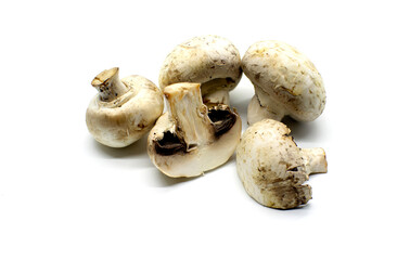 old, not fresh champignon mushroom