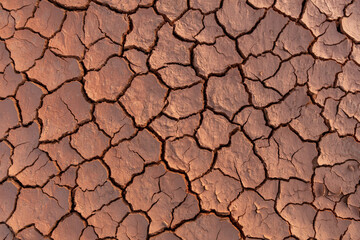 Dry soil ground cracks background texture in drought, Top view