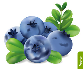 Pile of fresh blueberries on isolated background. Forest berry. 3d realistic vector illustration of bilberries.