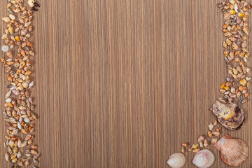 Seashells on  beige brown wooden surface. Copy space. Space for text.  Striped  background.