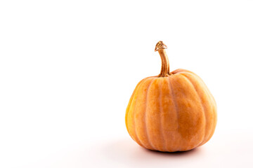 Orange autumn raw pumpkin on white background. Mock up