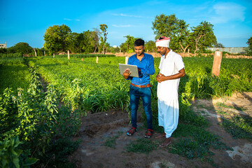 young agronomist researcher discussing with farmer at field, technology in agriculture