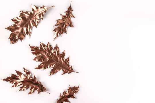 Autumn composition. Golden oak leaves on white background. Autumn, fall concept. Flat lay, top view, copy space