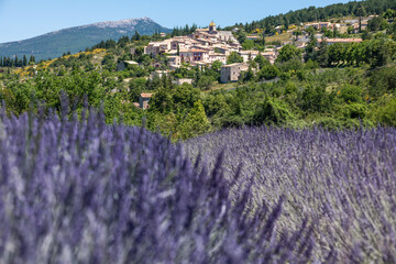 Fototapeta na wymiar Close up of the french village of Aurel, surrounded by colorful lavender fields, under a blue summer sky