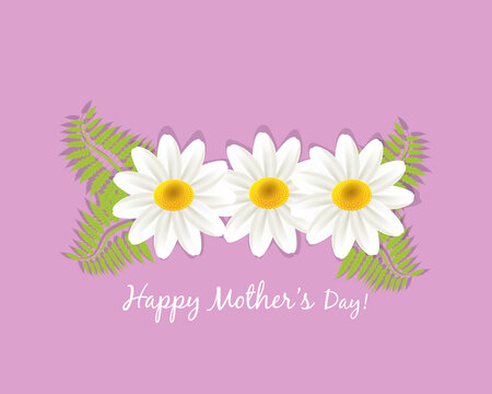 White daisy flowers happy mothers day greetings card holidays vector image banner template graphic design business card