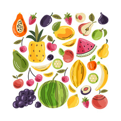 Vector fruits on the light background. A bright illustration of healthy fresh food. Isolated design elements. 