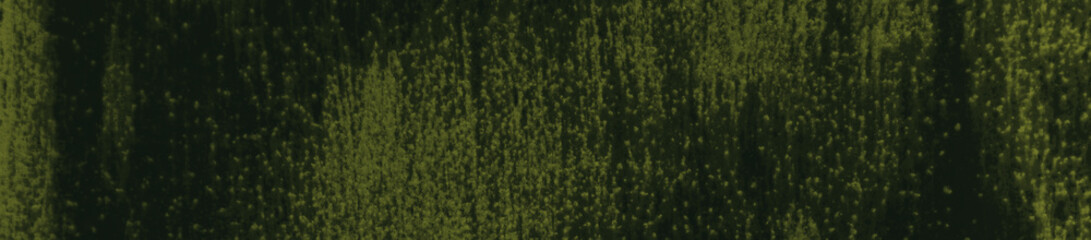 abstract black and dark green colors background for design